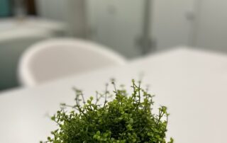 Psicologia Positiva Arganda Espacio Haztúa