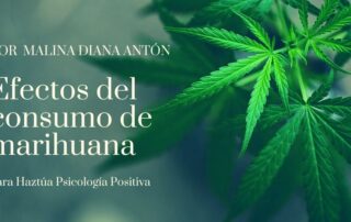 efectos del consumo de marihuana