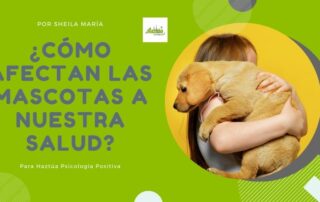 como afectan las mascotas