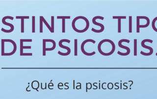 qué es la psicosis