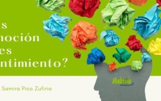 Es emoción o es sentimiento