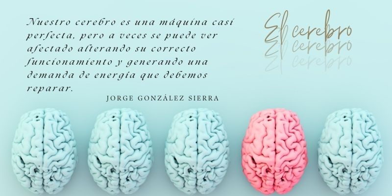 emdr y cerebro