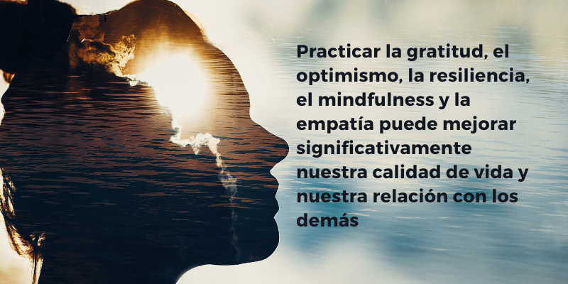 lo 5 pilares de la psicología positiva