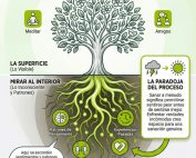 Infografía sobre bienestar emocional: hábitos visibles vs raíces emocionales (patrones, experiencias pasadas, heridas y reacciones antiguas) y 5 prácticas para mirar al interior.
